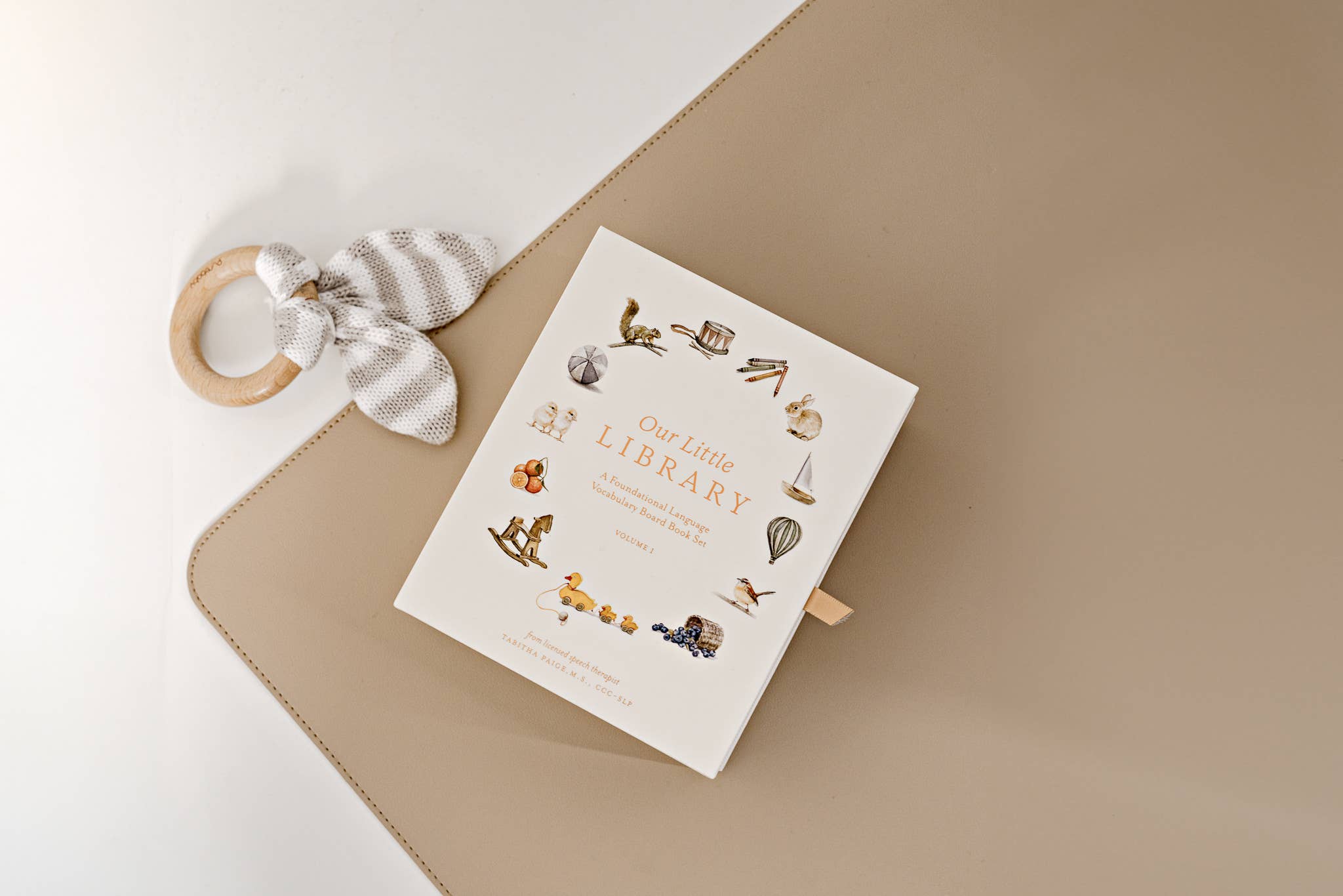Paige Tate & Co. - Our Little Library Vol. 1 (5 Board Books)