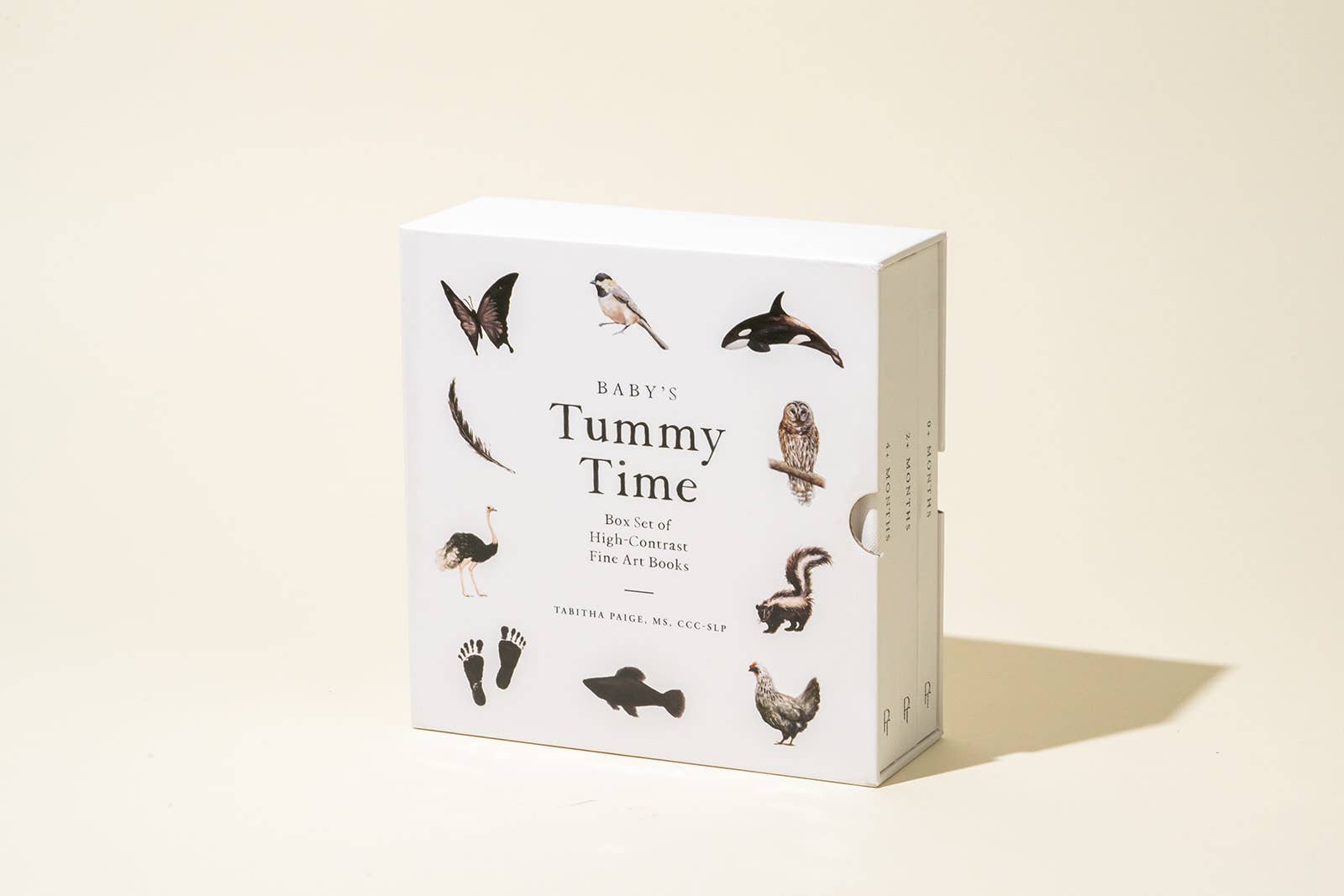 Paige Tate & Co. Baby's Tummy Time Book Box Set - Books