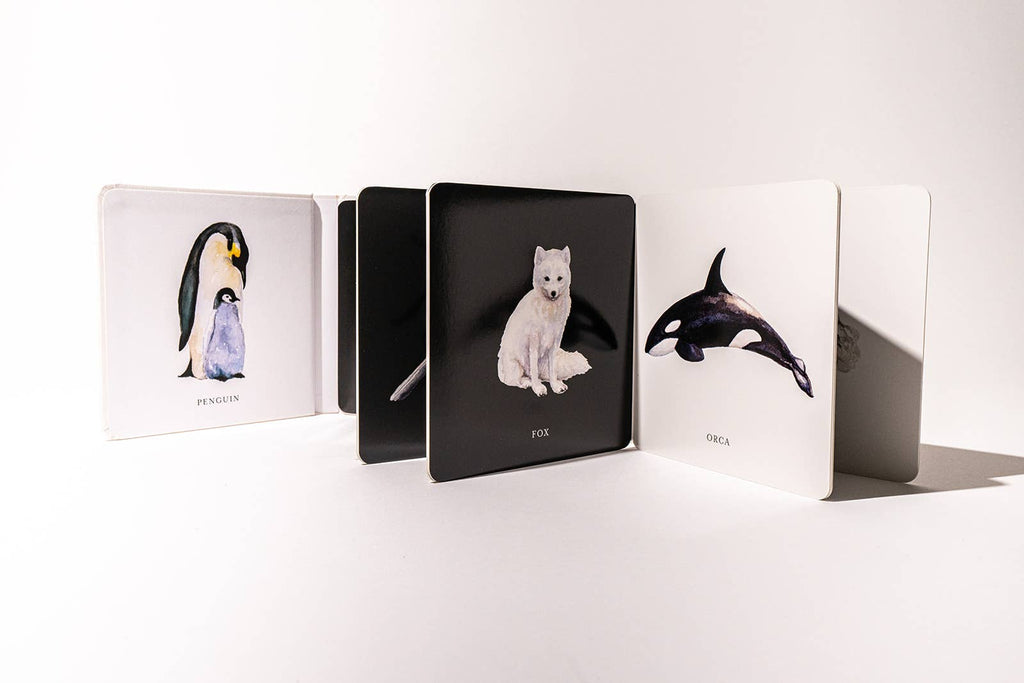 Paige Tate & Co. Black and White Contrast Book for Baby - Books