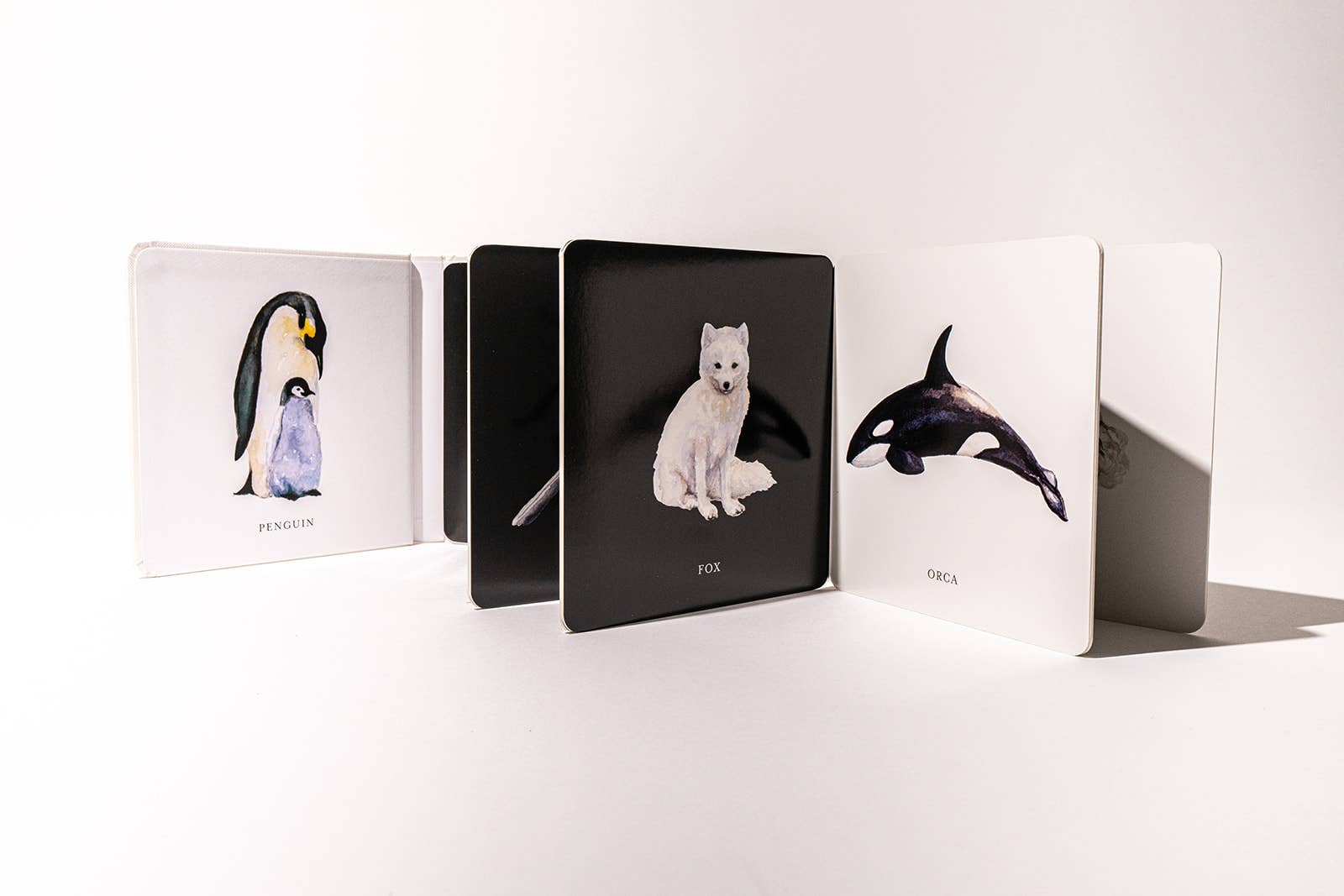 Paige Tate & Co. Black and White Contrast Book for Baby - Books
