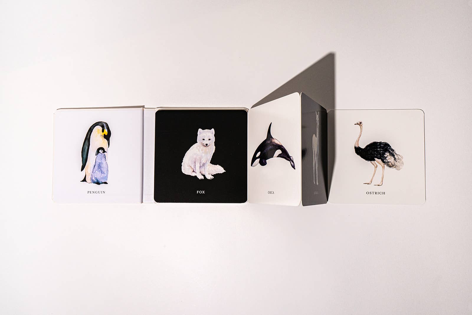 Paige Tate & Co. Black and White Contrast Book for Baby - Books