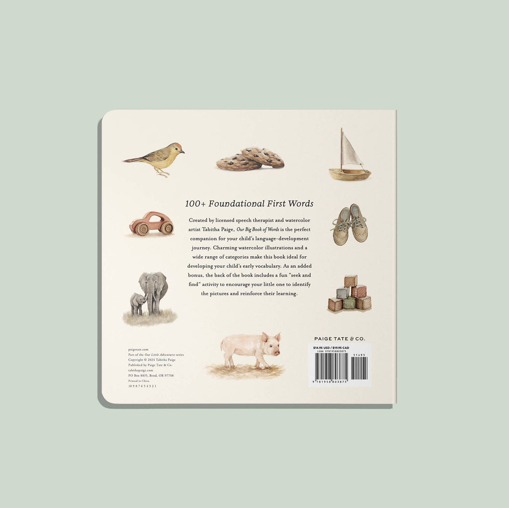 Paige Tate & Co. - Our Big Book of First Words (Baby Board Book) - Books