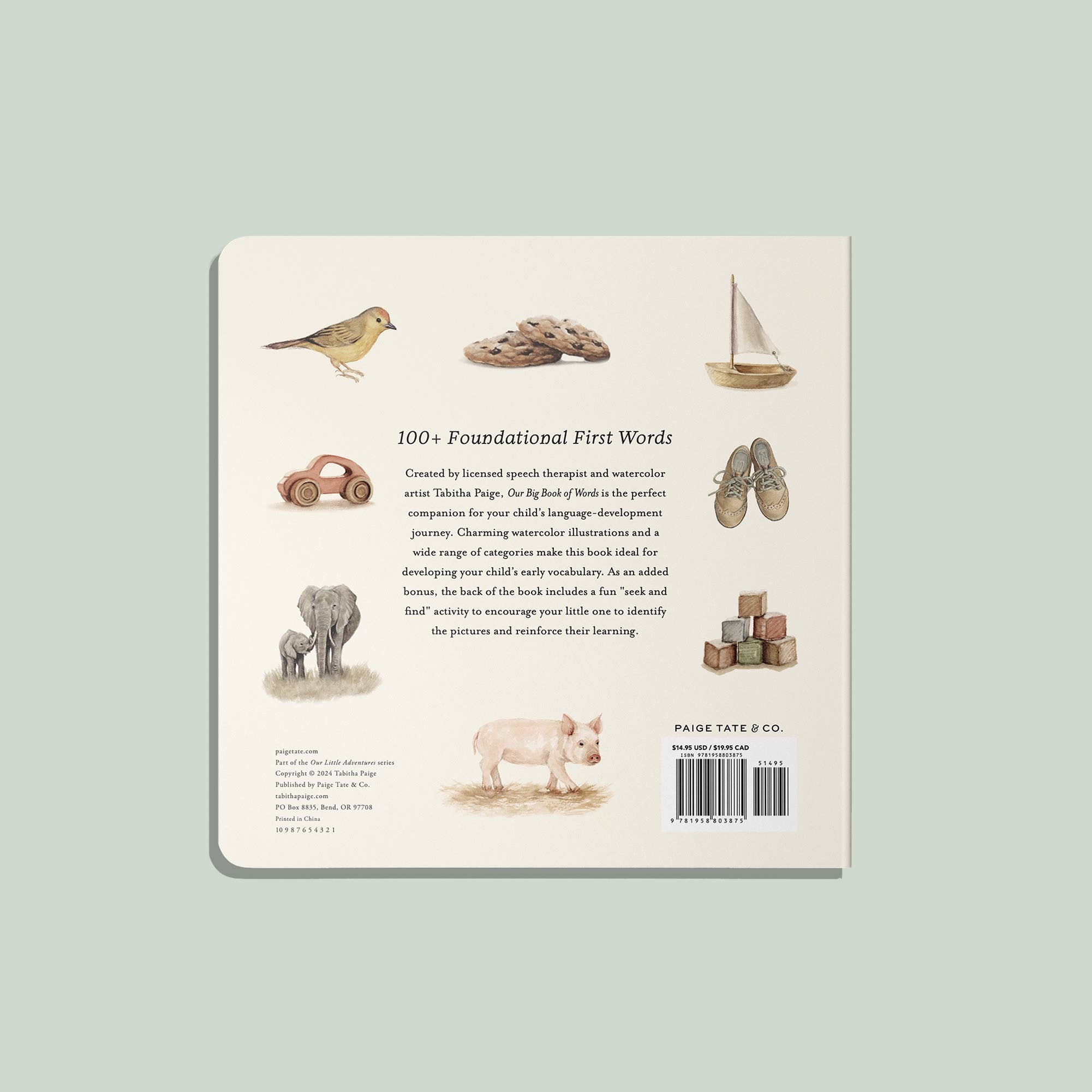 Paige Tate & Co. - Our Big Book of First Words (Baby Board Book) - Books