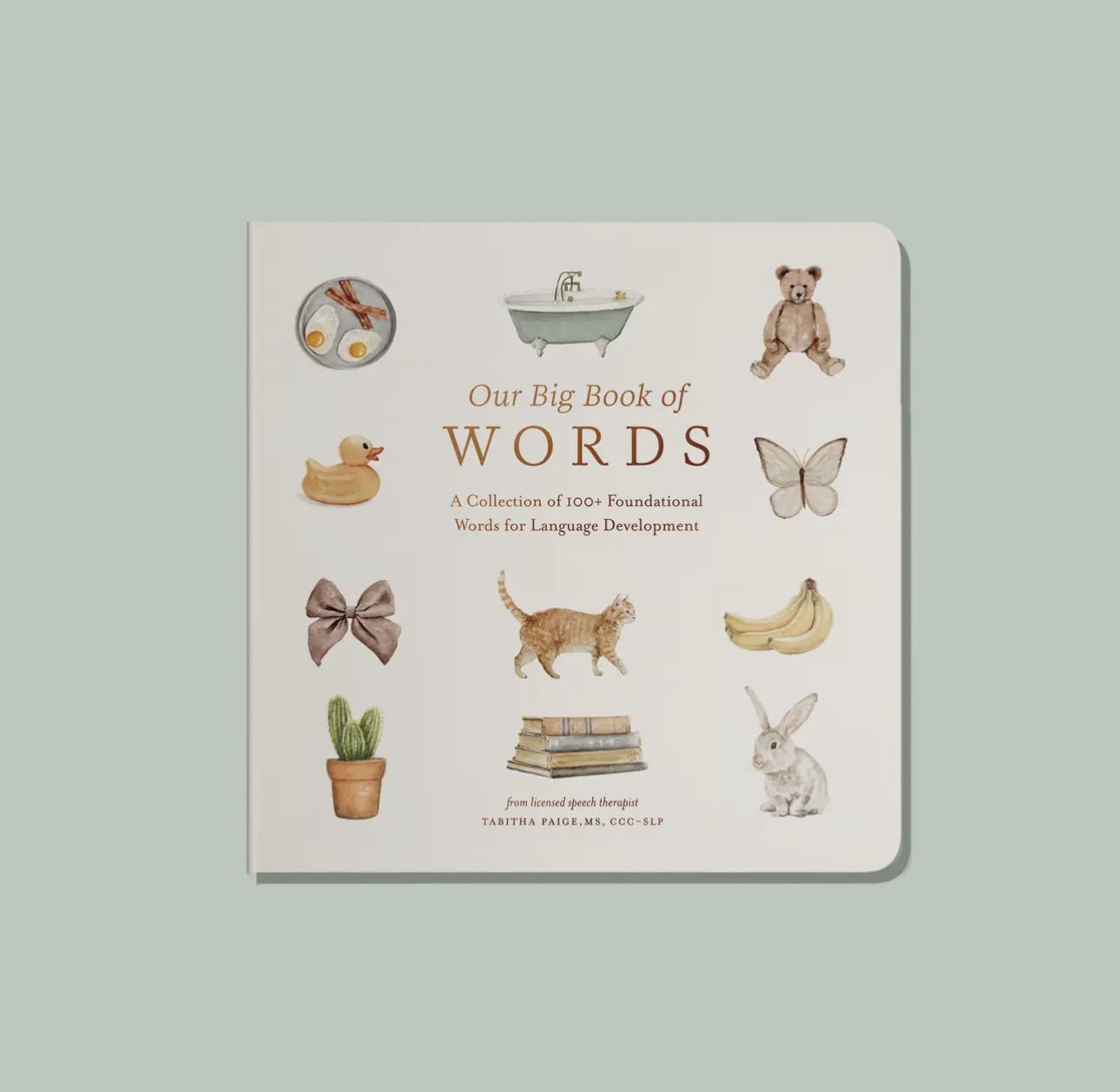Paige Tate & Co. - Our Big Book of First Words (Baby Board Book) - Books