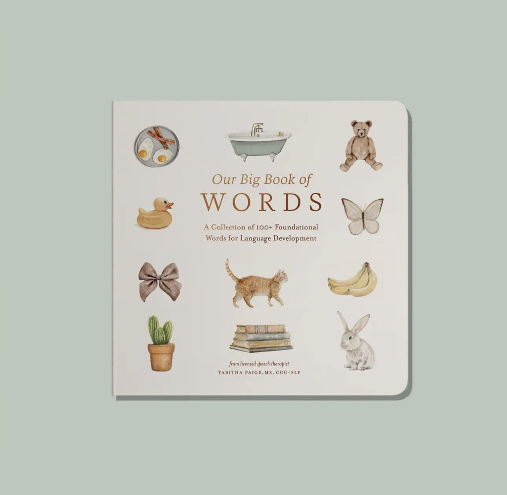 Paige Tate & Co. - Our Big Book of First Words (Baby Board Book) - Books