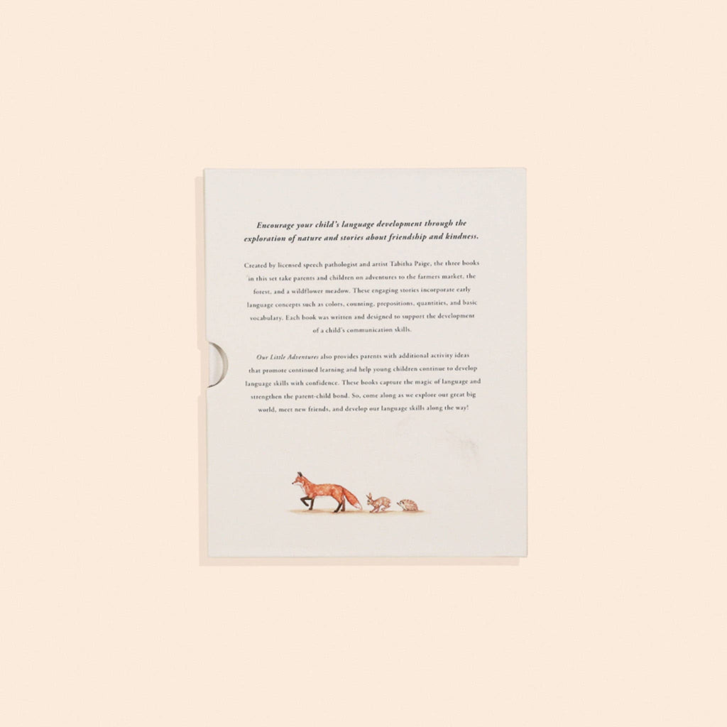 Paige Tate & Co. Our Little Adventures Board Book Box Set for Kids - Books