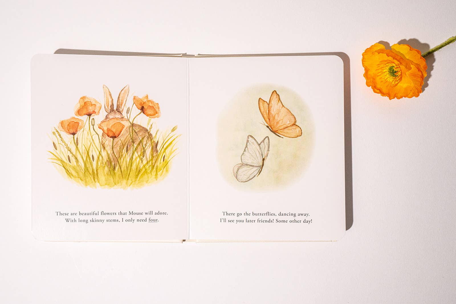 Paige Tate & Co. Our Little Adventures Board Book Box Set for Kids - Books