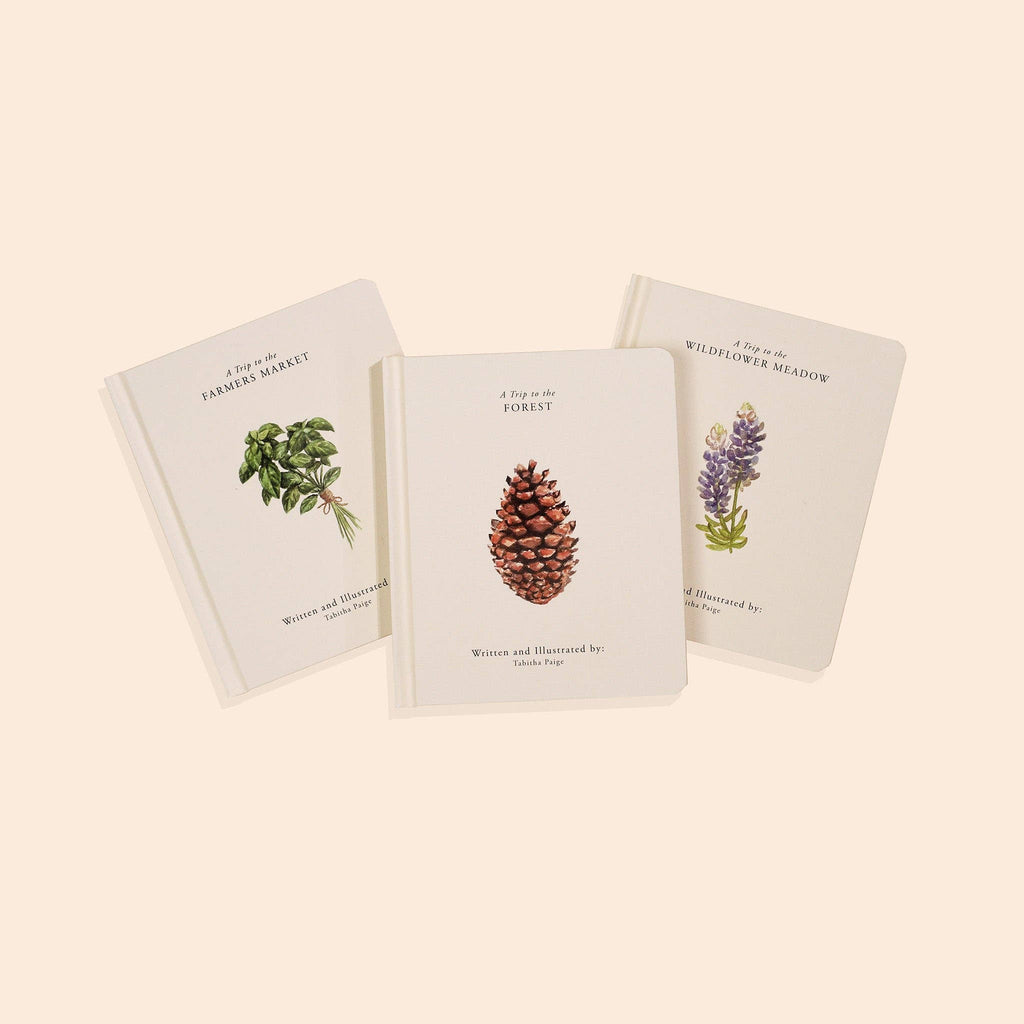 Paige Tate & Co. Our Little Adventures Board Book Box Set for Kids - Books