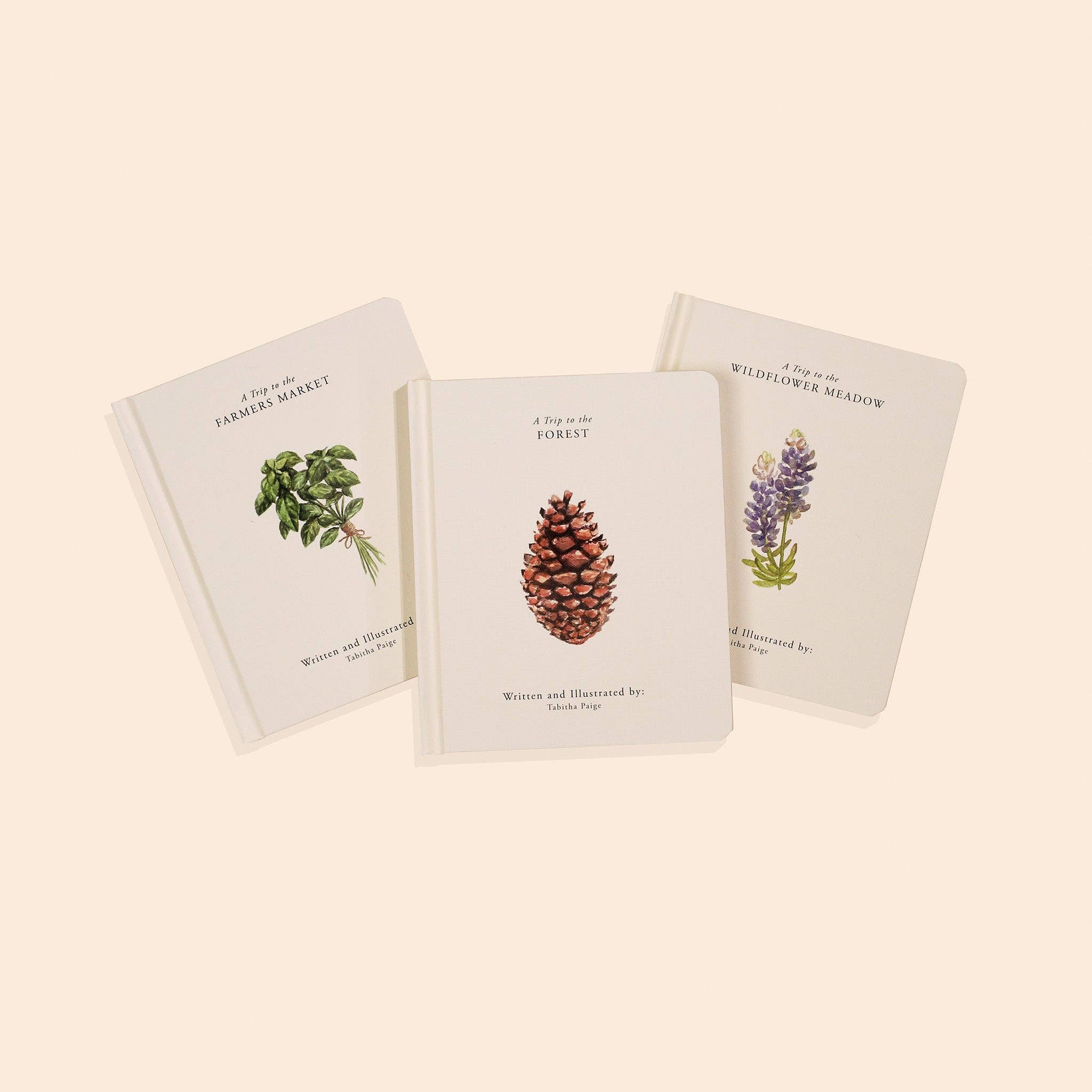Paige Tate & Co. Our Little Adventures Board Book Box Set for Kids - Books