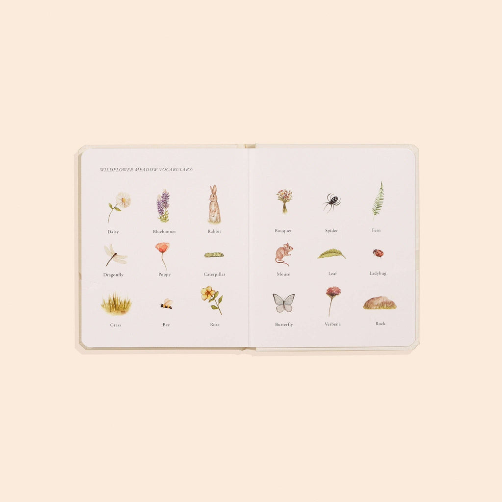 Paige Tate & Co. Our Little Adventures Board Book Box Set for Kids - Books