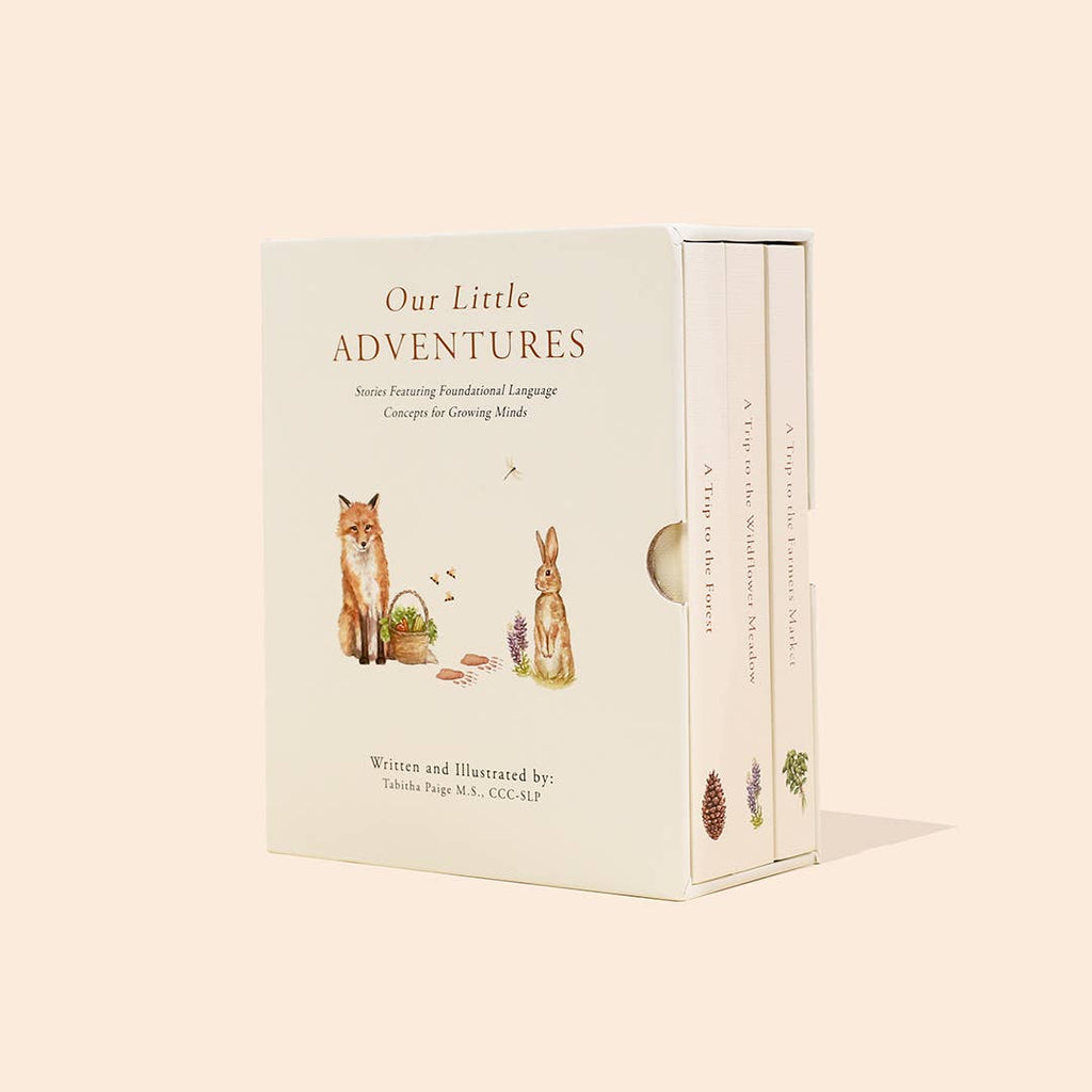 Paige Tate & Co. Our Little Adventures Board Book Box Set for Kids - Books