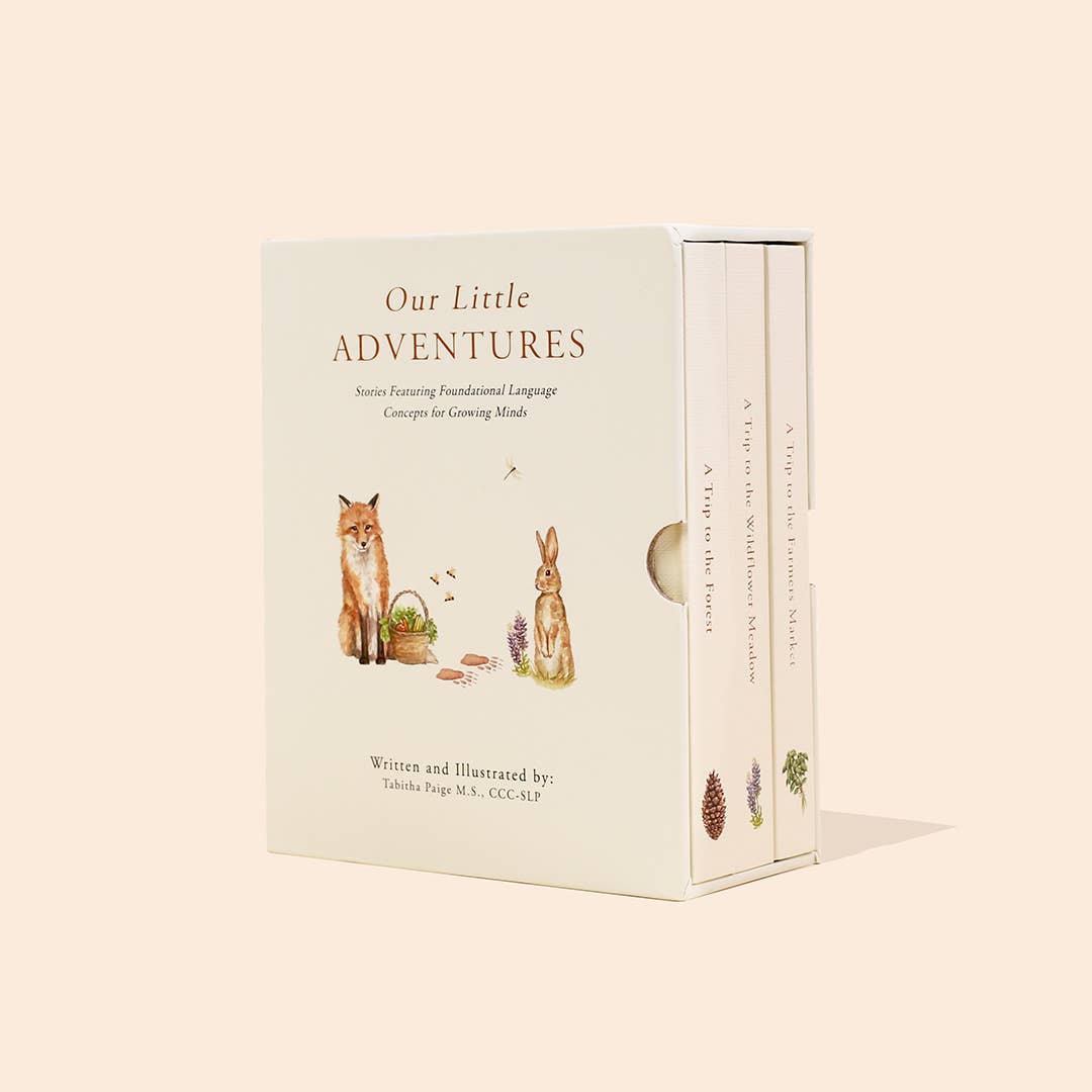 Paige Tate & Co. Our Little Adventures Board Book Box Set for Kids - Books