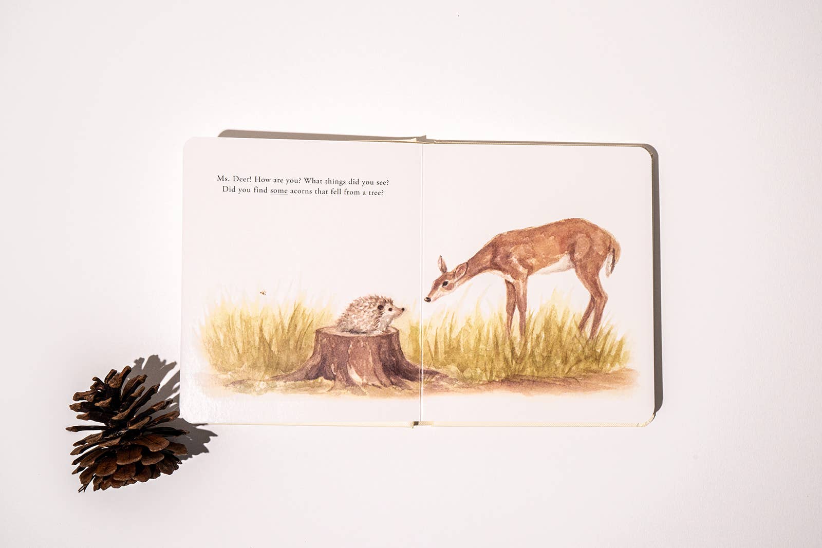 Paige Tate & Co. Our Little Adventures Board Book Box Set for Kids - Books