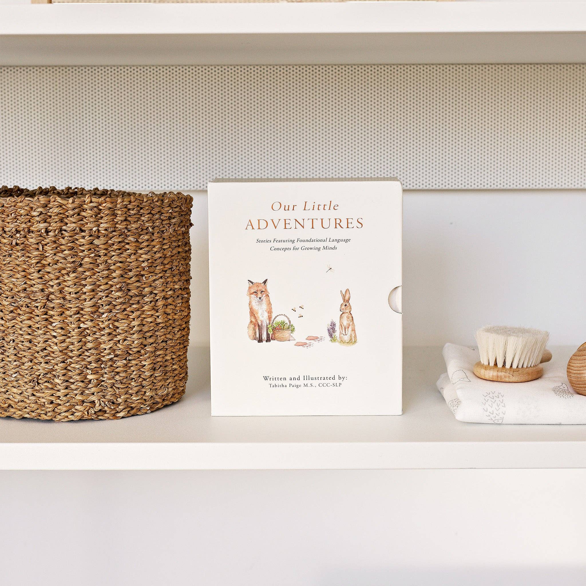 Paige Tate & Co. Our Little Adventures Board Book Box Set for Kids - Books