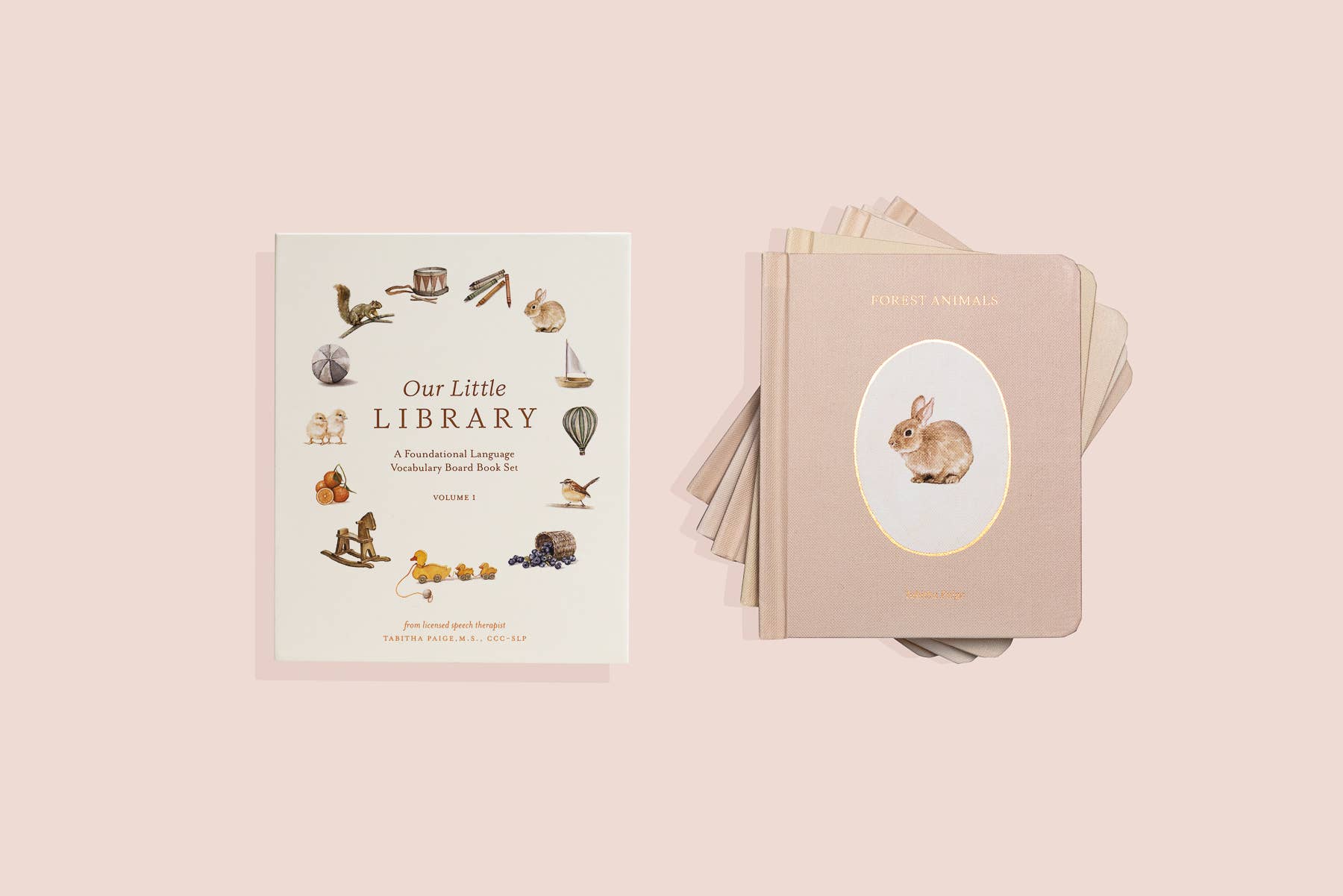 Paige Tate & Co. - Our Little Library Vol. 1 (5 Board Books) - 