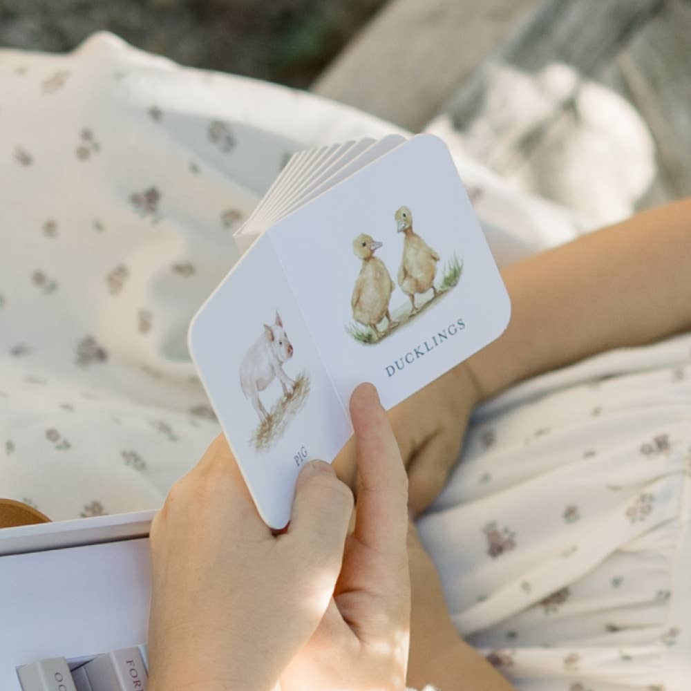 Paige Tate & Co. - Our Very Little Library Board Book Set (10 Mini Board Books) - Books