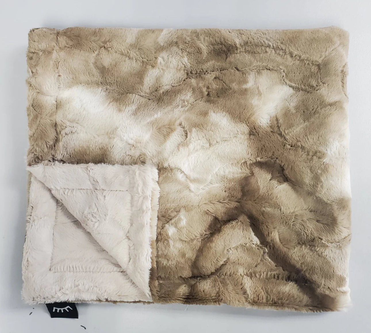 Winx + Blinx Sorbet Latte Minky Baby Blanket - Minky Blanket