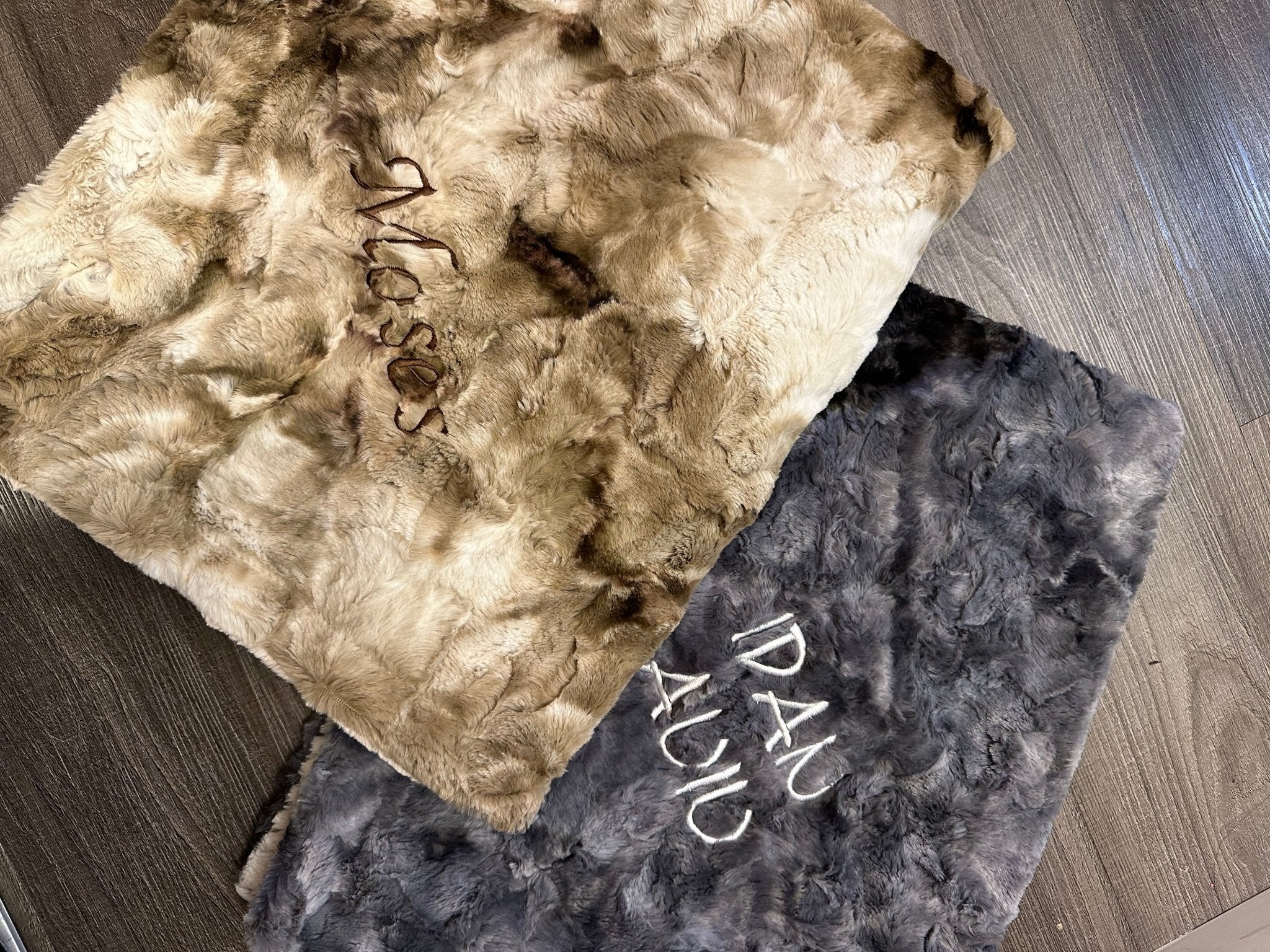 Winx + Blinx Sorbet Latte Minky Baby Blanket - Minky Blanket